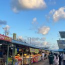 동명꼬마김밥 | 1박 2일 뚜벅이 여행/ 동명활어센터/ 어반스테이 C동...보사노바/ 루나씨/ 속초 중앙시장/ 3849꼬마김밥