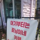 꽃님이네 카페 이미지