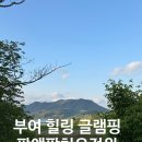 힐링팜 | 부여 글램핑 추천 판앤팜치유정원 판동 힐링 여행 후기