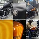 수원덴트 맞나요? 할리 데이비슨 바이크 기름탱크좀 펴주세요. Harley Davidson 아이언883 덴트복원. K5글루덴트 하기. 이미지