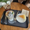 (주)다진심 | 26년 3월 (1)은 뭘까... 애매하게 느껴진단 말이지... 그런가요...