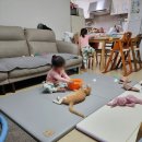 학익동물병원 이미지