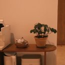 (주)이마트춘천점 | 춘천 수안뷰2 에어비앤비 감성숙소 독채펜션 후기