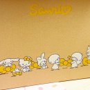 직구땡 | 직구 배대지 짐패스 일본 오사카선박 : 산리오 포레스트