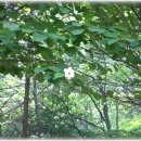 조령약수터 이미지