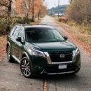 포르쉐 포레스트 그린 porsche forest green 내차에 랩핑하면 어울릴까?