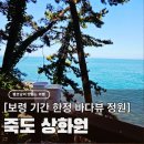 보령 대천 여행 코스 가볼만한곳 죽도 상화원, 기간 한정 바다뷰 정원 내돈내산 후기