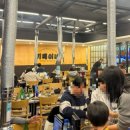 사하구-68 | 부산사하구 다대동, 갈매기살 맛집 끼룩이네