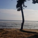 농협용유지점 이미지