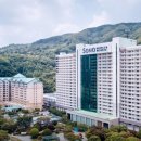 몬스터키즈풀 이미지