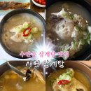 동백산삼 | 부산 삼계탕 맛집 사헌삼계탕 후기