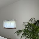 베지아웃 이미지