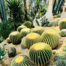 한택로 | 경기도 용인 가볼만한곳 한택 식물원 수목원 솔직후기 입장료