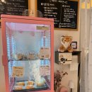 카페데이즈(Cafe Days) | 운서 카페데이즈(CAFE DAYS) 🍰☕｜아기자기한 감성카페 & 쌀가루 케이크