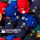 뉴에라모터스포츠 이미지