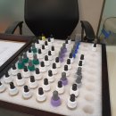 리앤홍이비인후과의원 | 알러지검사 면역치료 고민중