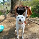 벧엘요양병원 이미지