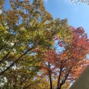 금강행복마을협동조합 | 11.01.재앙을 막아주고 소원을 들어주는 할배돌