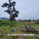 미소인공인중개사사무소 이미지