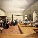 녹색중앙의원 이미지