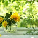 농암로(예안면) 이미지