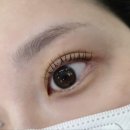 523 | [동탄] 동탄호수공원 속눈썹펌 맛집 ‘라올523속눈썹‘ 방문 후기