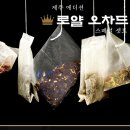 오늘은 제주 이미지