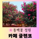 카페글렌코 | [제주 카페] 제주 동백꽃 명소 정원이 아름다운 "카페 글렌코" 즐거운 방문 후기