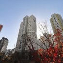 보배공인중개사사무소 이미지