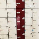 바디스트 이미지