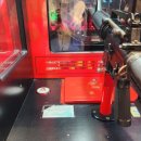 기운찬하우스 | 내년을 기약하며 남기는 용인 에버랜드 벚꽃 주말 오후권 코스 꿀팁 팝밴드 공연 하늘정원 야경 입장료