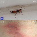 개미주유소 이미지