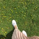 영어(중급) 이미지