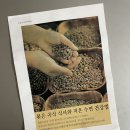 홍영선 볶은 곡식 건강 캠프장 | 홍영선볶은곡식 볶은곡식 건강떡 후기