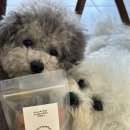 몽도날드 | 사랑스러운 강아지에게 건강한 부산수제간식 선물! 연산동애견간식 '몽도날드'