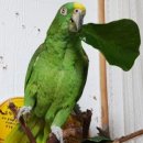 청산초교 병설유치원 이미지