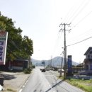 대승장어 이미지