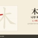 木 나무 목 — 초등 한자 9급 획순·한중일대만 발음 (HD) 이미지