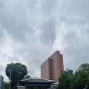 서울 신라호텔 숙박 및 조식 후기(내돈내산)
