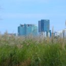 하늘공원(하부) 이미지