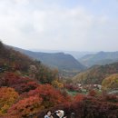 속리산 - 성남시 중원구 시민로117번길 2 | 속리산