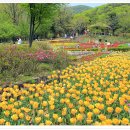 울동네축제 Daum카페