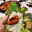 양지쌈밥 이미지