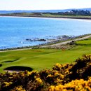 오랜 역사를 자랑하는 스코틀랜드 유명 골프 코스 Royal Dornoch Golf Club 이미지