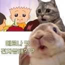 허니바