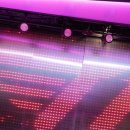 LCK 컵 팀별 코치보이스 사용 횟수 이미지