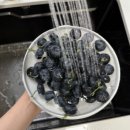 건강체조(화) | 블루베리 영양제 복용 후 눈 피로 완화된 후기