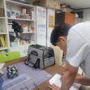 베베드시앙 이미지