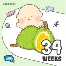 (주)씨·에스(대전공장) | 임신 34주차 기록 | 드디어 분만병원을 결정, 감사가 넘치는 한 주