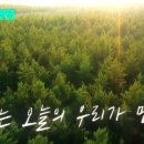 (유)대화환경 네이버블로그
